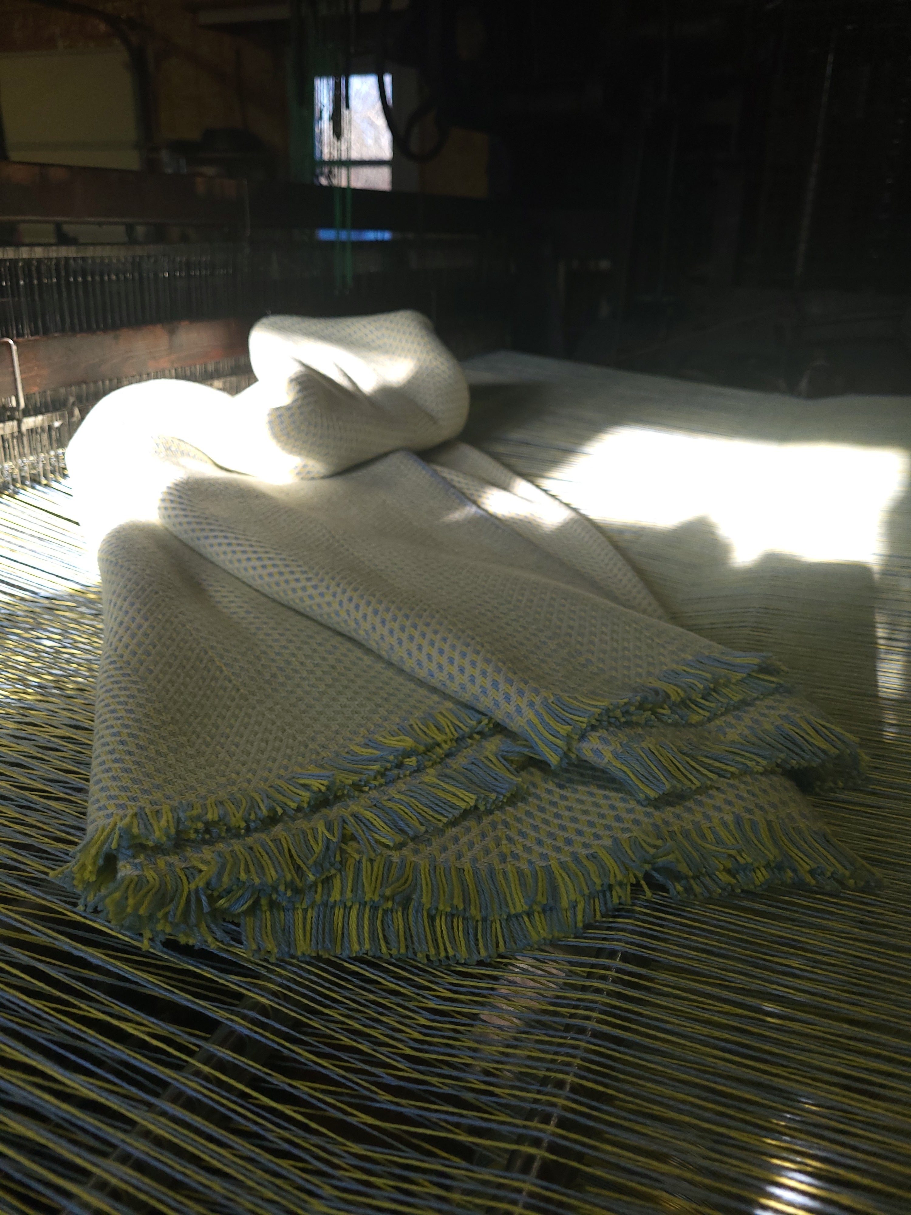 Lemon Chiffon, Blue and Natural White Organic Cotton Blanket