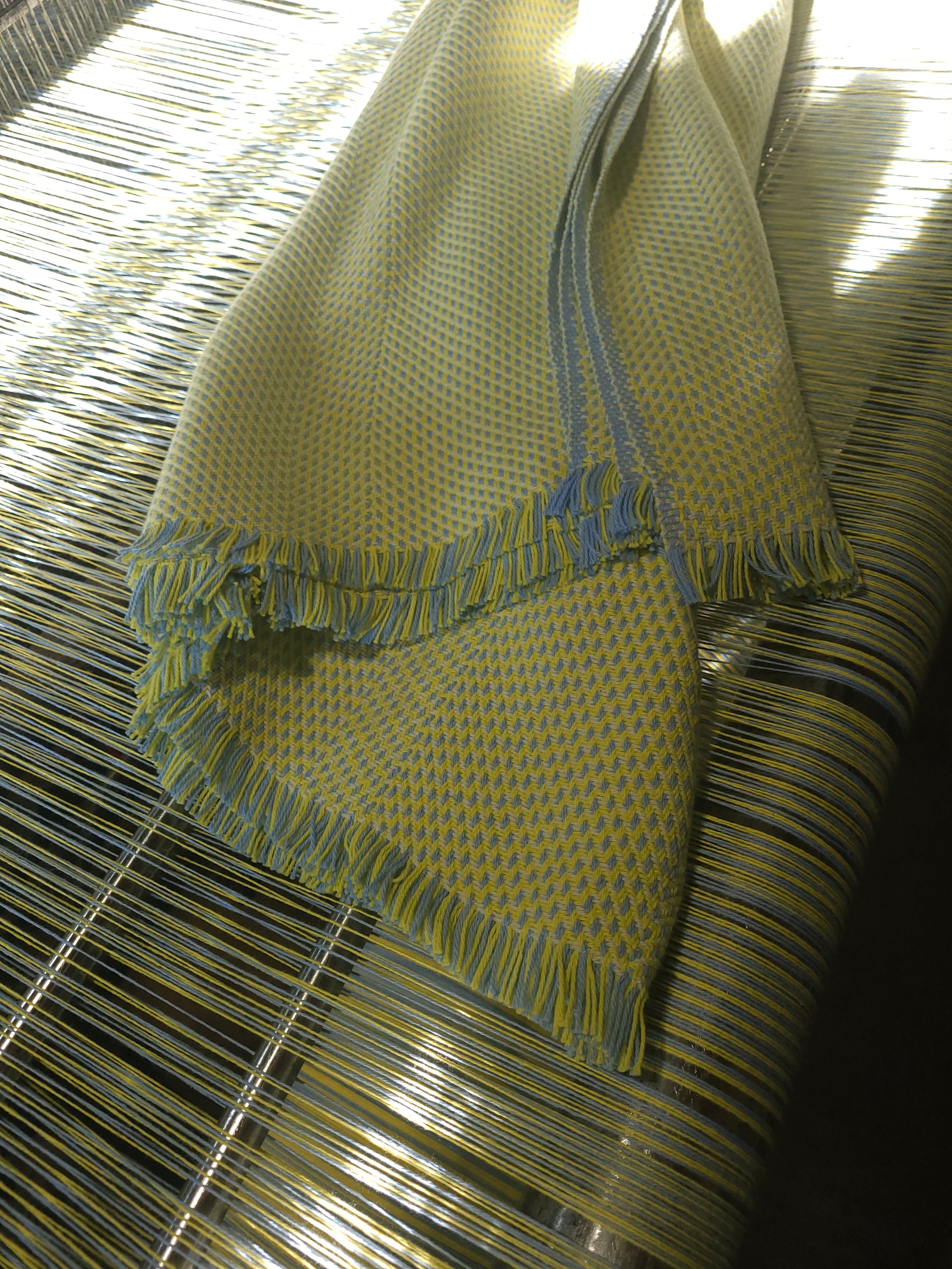 Lemon Chiffon and Blue with Lemon and Natural White Organic Cotton Blanket