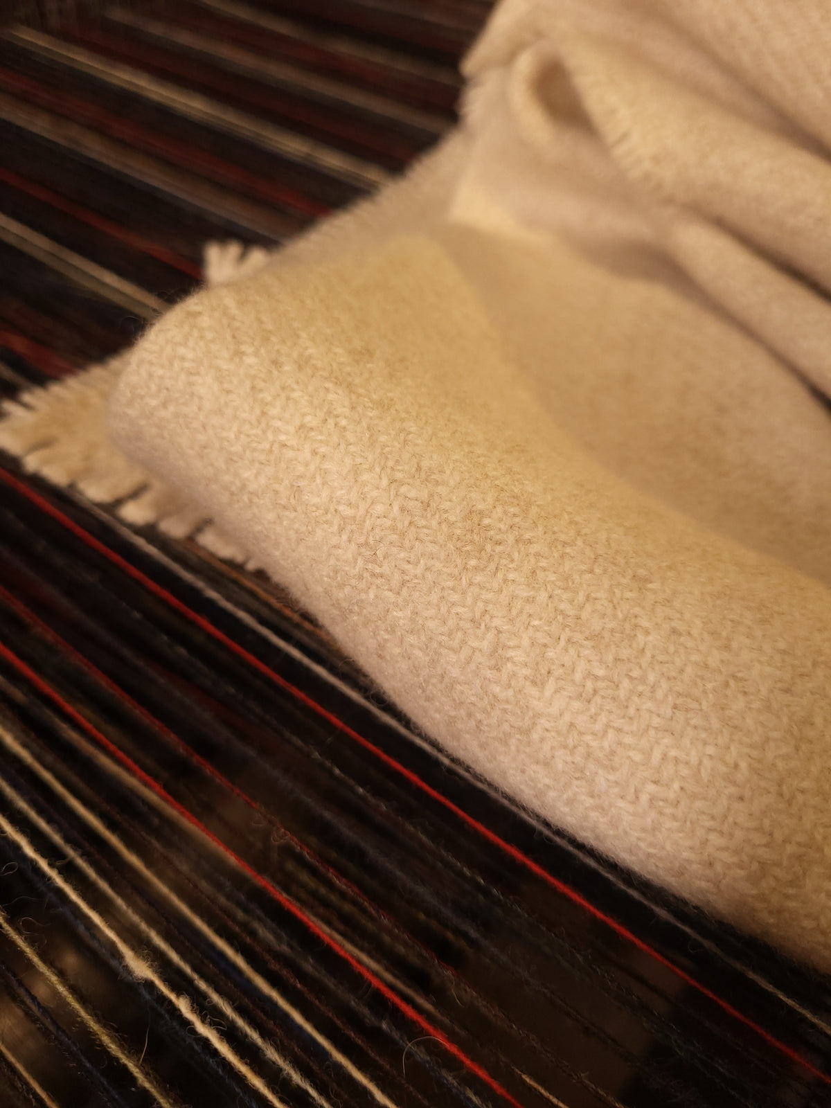 Irish Cream Super FIne Geelong Merino Lambswool Scarf