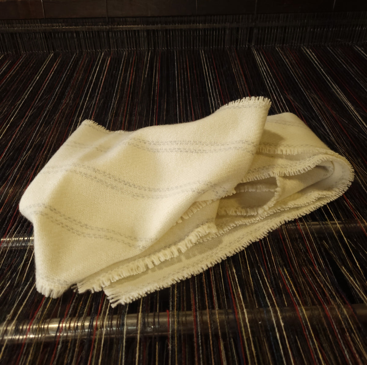 Cream, Ecru with Grey Stripe Super Fine Geelong Lambswool Scarf