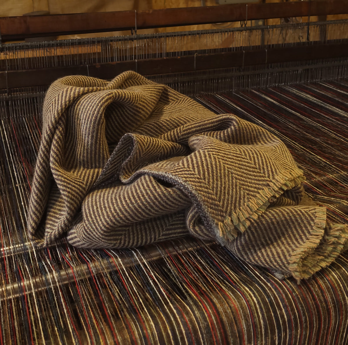 Chocolate Autumn Lambswool Blanket